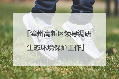 漳州高新区领导调研生态环境保护工作